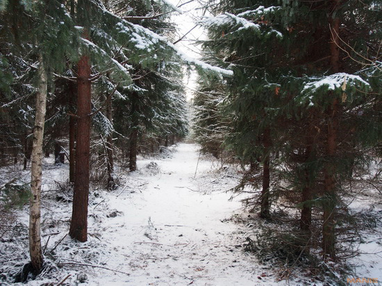 Olympus OM-D E-M5: elegantní fotokladivo