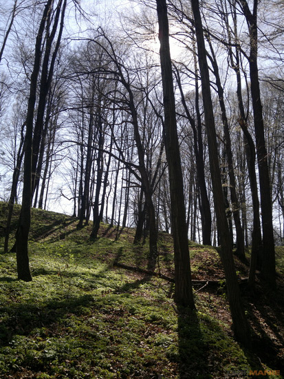 Fotíme mobilem: Slunce, přítel i protivník