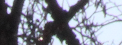 Megatest ultrazoomových objektivů