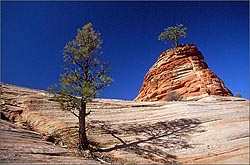 Tip Digimanie pro 32. týden roku 2005 - Tony Howell