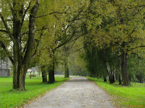 Fujifilm FinePix T200: nejlevnější ultrazoom Fuji