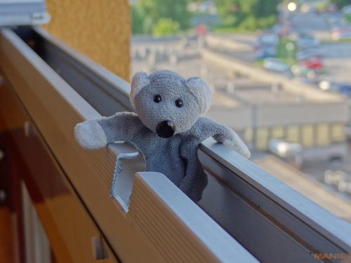 Fotíme s Koalou: Zoom a perspektiva