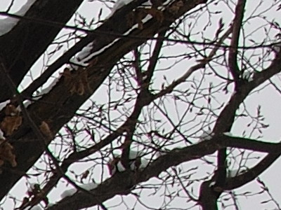 Dva objektivy nebo jeden ultrazoom?