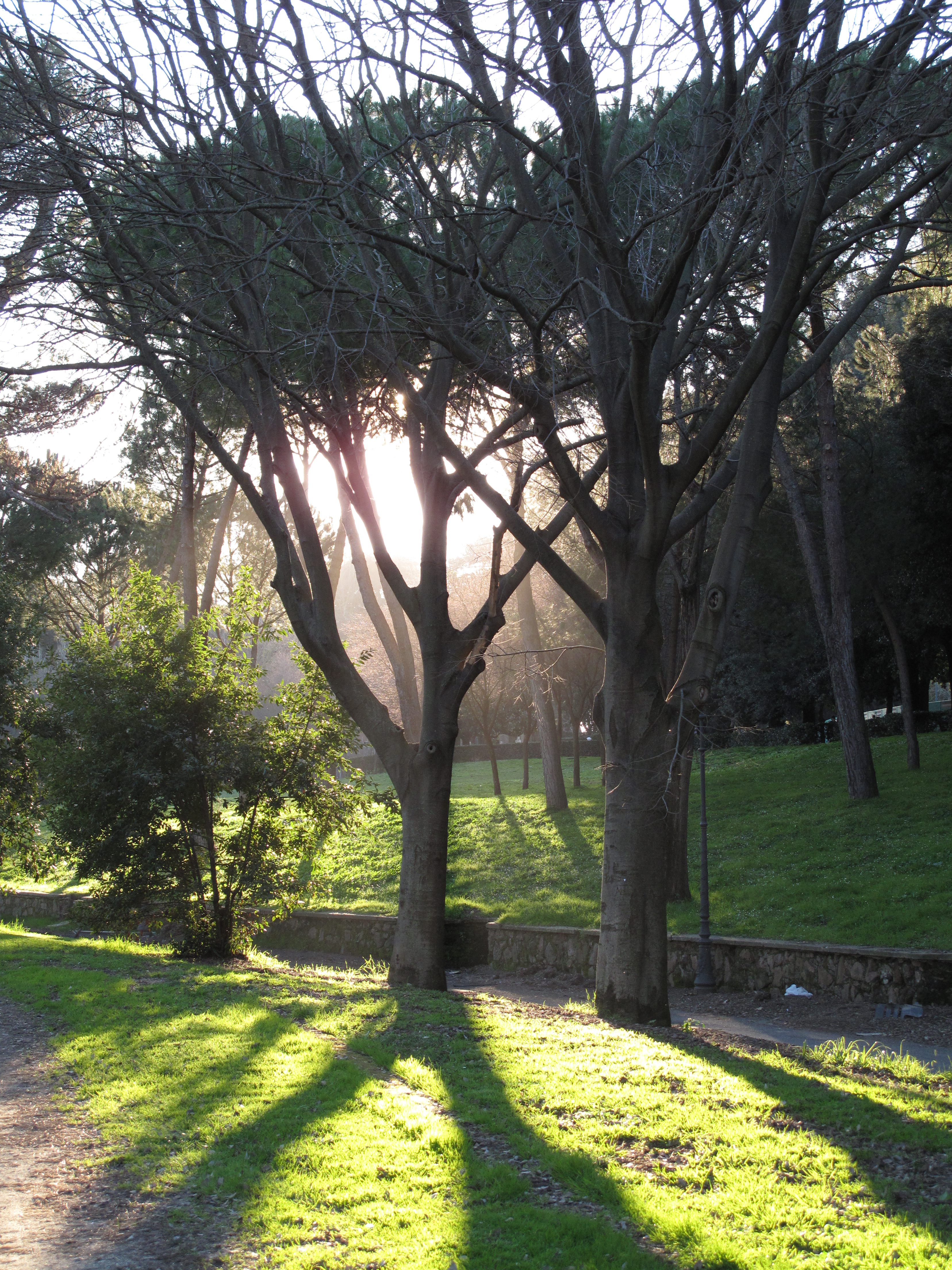 Canon PowerShot G10: stále mezi nejlepšími