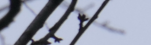 Panasonic Lumix FZ2000: ultrazoom nebo profi kamera?