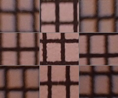 Olympus M.Zuiko Digital 40-150 mm F4-5,6 + nová R verze