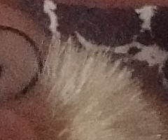 Sony Cyber-shot WX1: Vypilovaný drobek