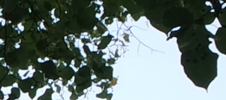 Samsung 16-50mm 1:3.5-5.6 ED OIS Power Zoom