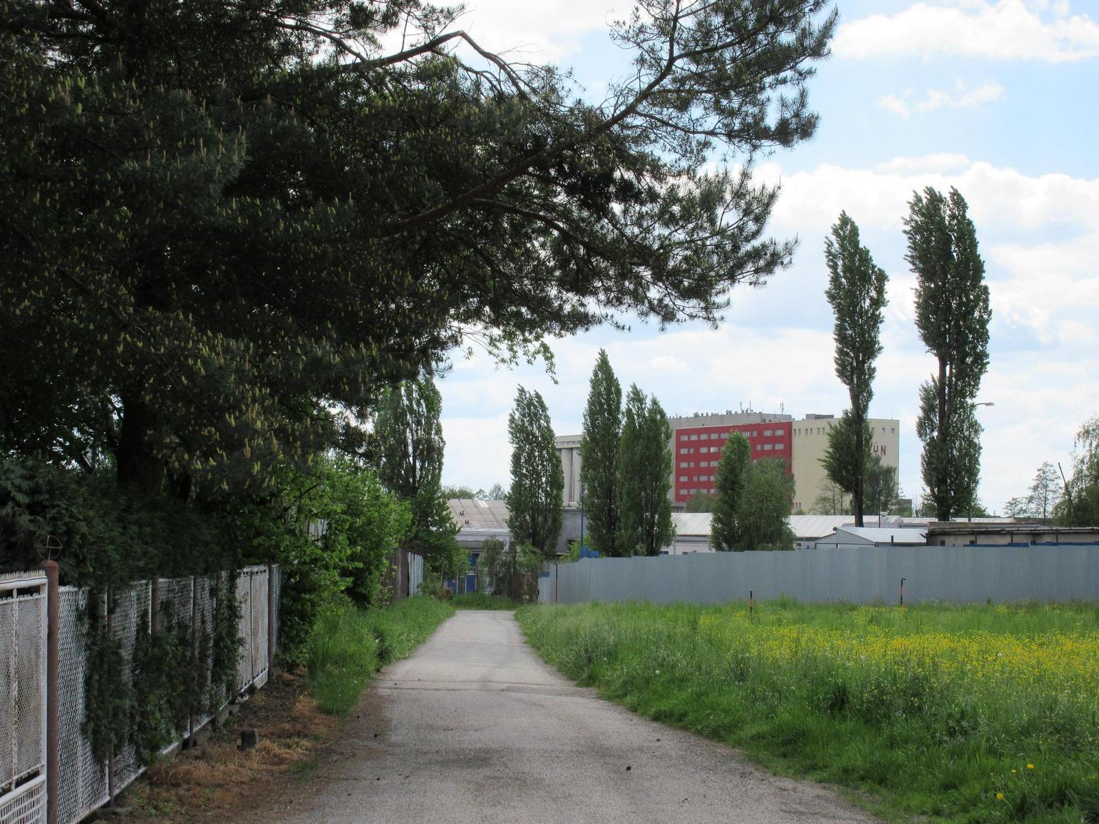 Canon IXUS 285 HS: kamarád do kabelky