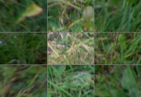 Nikon AF-P DX Nikkor 70-300 mm f/4,5-6,3G ED VR