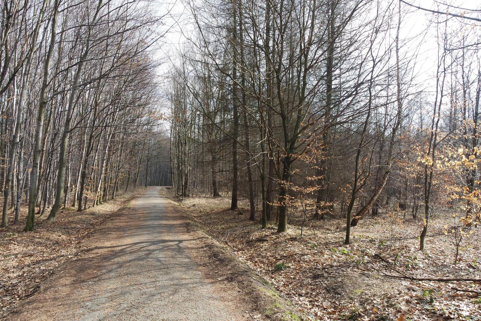 Samsung NX-M 9-27mm F3.5-5.6 OIS