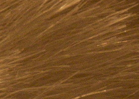 Sony Alpha SLT-A35: úspěšně proti zrcadlovkám