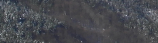 Fotíme s Koalou: Software, RAWy, obrazové formáty