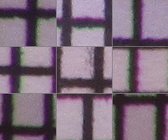 Canon PowerShot SX500 IS: fotící stroj času