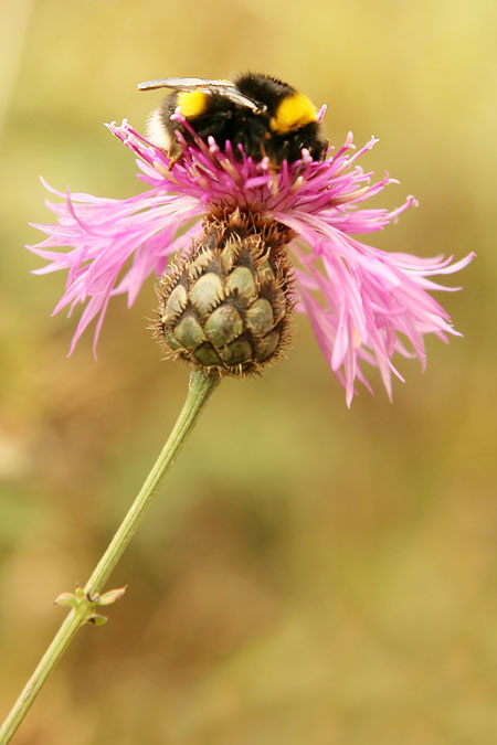 DSLR na cestě časem - 8. díl