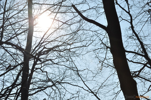 Dva objektivy nebo jeden ultrazoom?