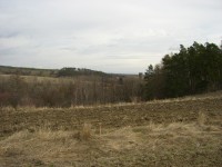 Casio Exilim Card EX-S600: Asijský plátek na fotografický způsob