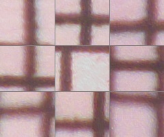 Fujifilm FinePix HS20EXR: důstojný nástupce