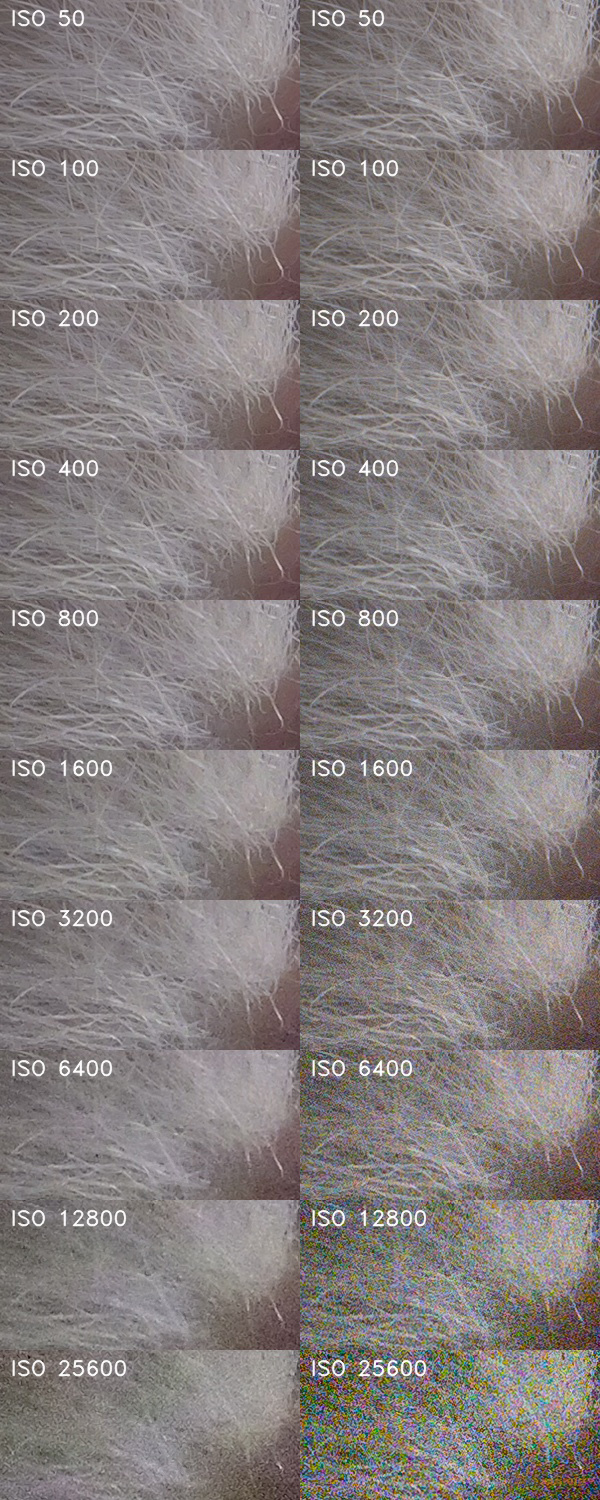 Panasonic Lumix GH6: s revolučním snímačem