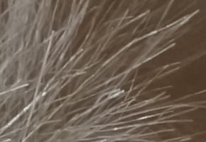 Sony NEX-5R: fázový posun k lepšímu?