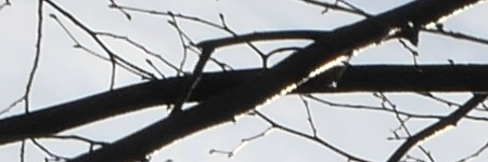 Panasonic Lumix G Vario 35-100mm F4-5.6 MEGA O.I.S.