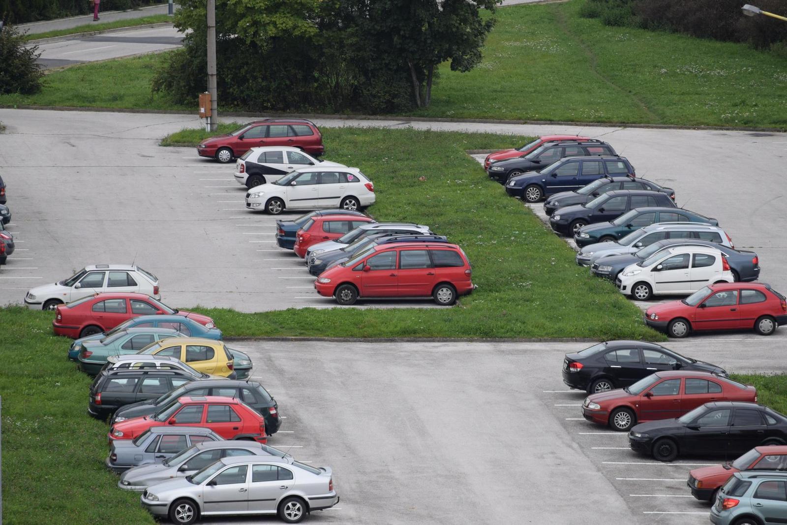 Nikon AF-S DX NIKKOR 55-200mm f/4-5.6G IF-ED VR