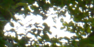 Panasonic Lumix G Vario 14-42mm F3,5-5,6 APSH.