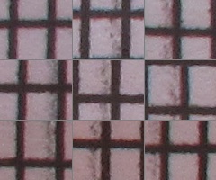 Canon PowerShot G11: géčko, o jakém jsme snili