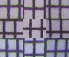 Canon PowerShot SX210 IS: s překvapivou zbraní