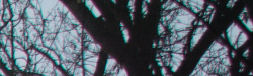 Nikon AF-P NIKKOR 18-55mm f/3.5-5.6G VR