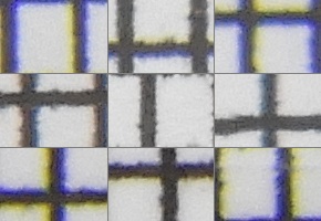 Nikon Coolpix B700: přírodovědec