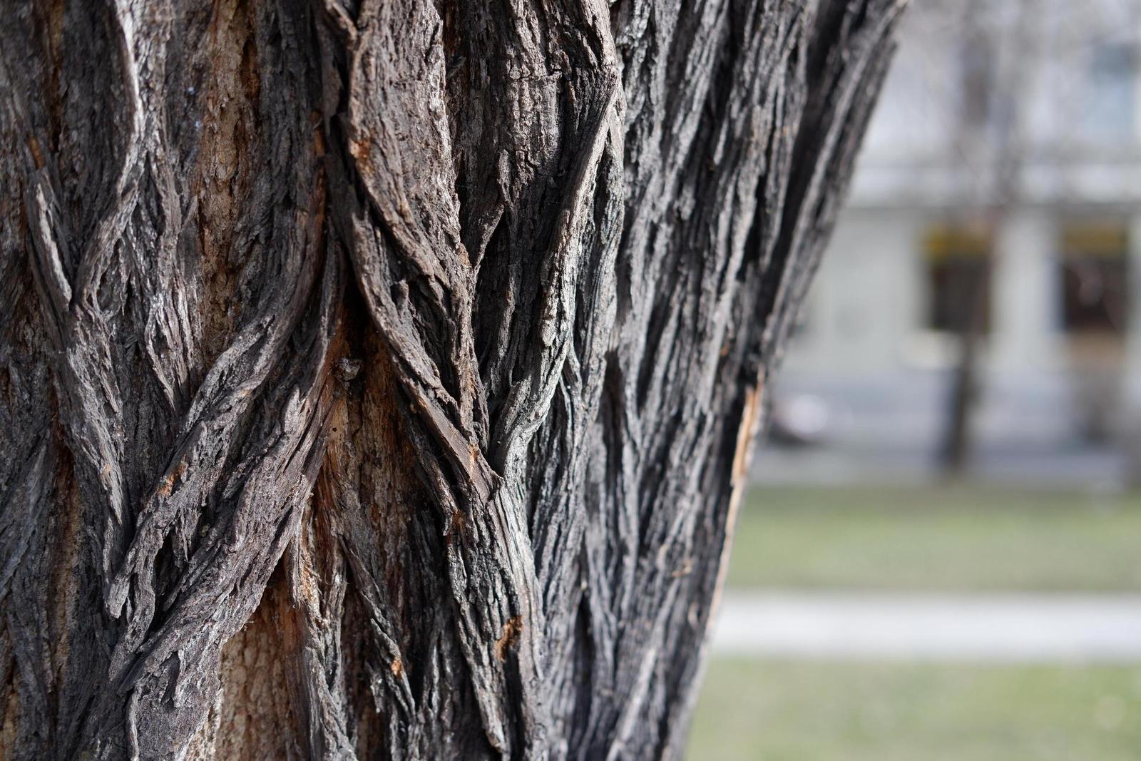 Fujinon XF 35mm F2 R WR