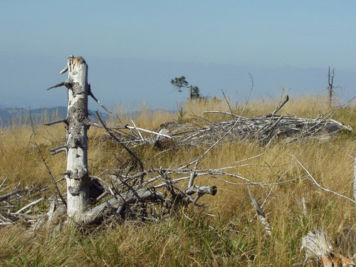 Starý vs. nový aneb megapixely k ničemu?