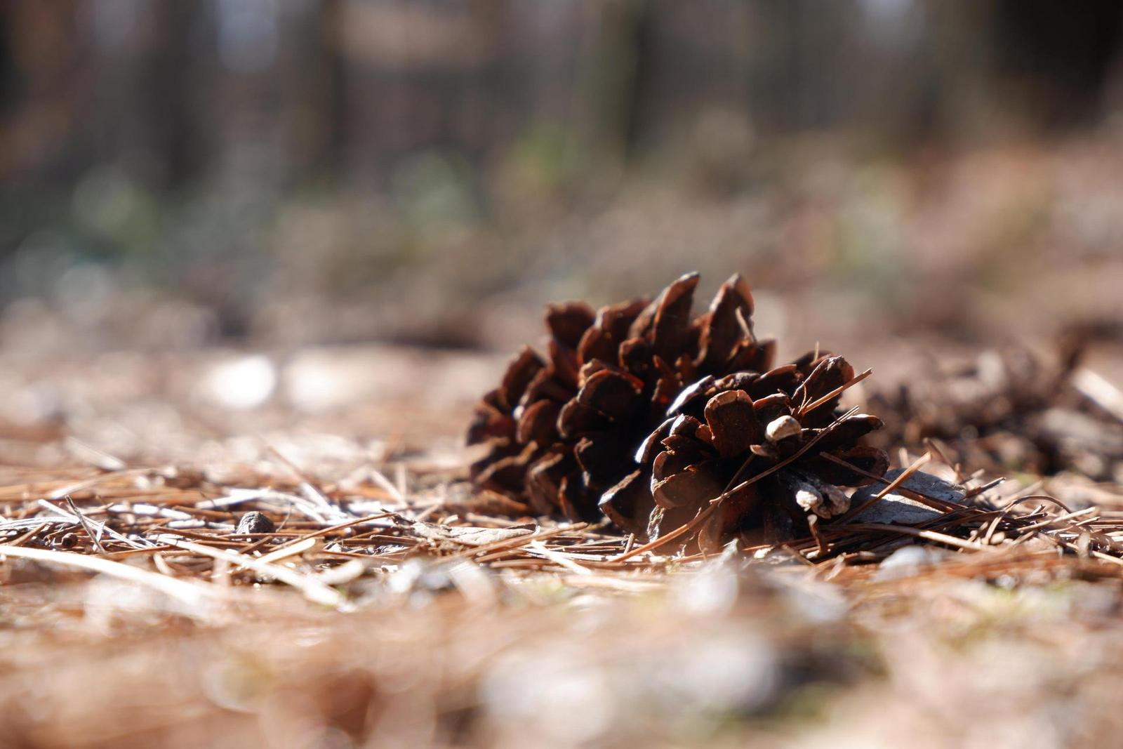 Fujinon XC 15-45mm 1:3.5-5.6 OIS PZ