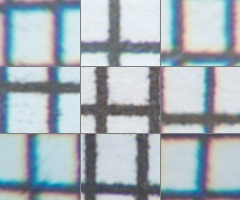 Fujifilm X-S1: jedinečný