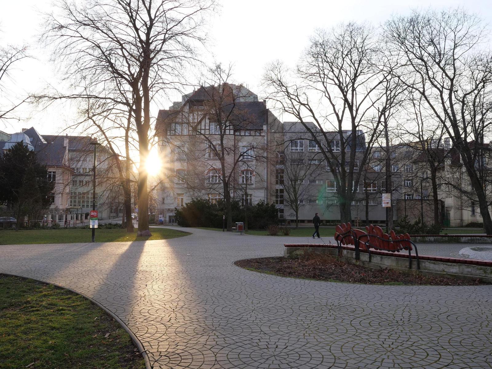 Panasonic Leica DG Summilux 15mm / F1.7 ASPH