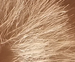 Fujifilm FinePix F300EXR: klame tělem