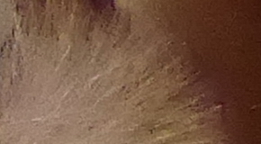 Panasonic Lumix TZ70: krůček k profi ultrazoomu