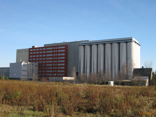 Canon PowerShot A1000 IS: ve stínu předchůdce