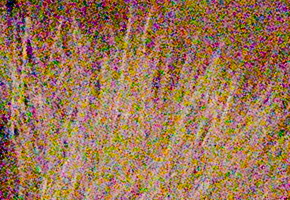 Nikon D5100: jeden z nejlepších?