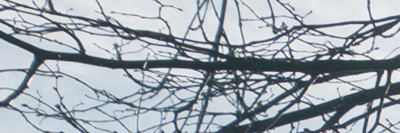 Panasonic Lumix G Vario 12-32mm f/3.5-5.6 ASPH. / MEGA O.I.S.