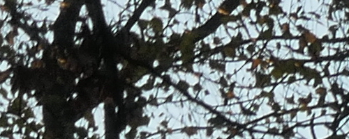 Panasonic Lumix TZ200: kamarád na cesty