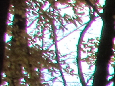 Canon PowerShot SX30 IS: sebevědomý rekordman