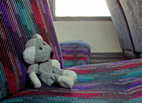 Fotíme s Koalou: Vyvážení bílé