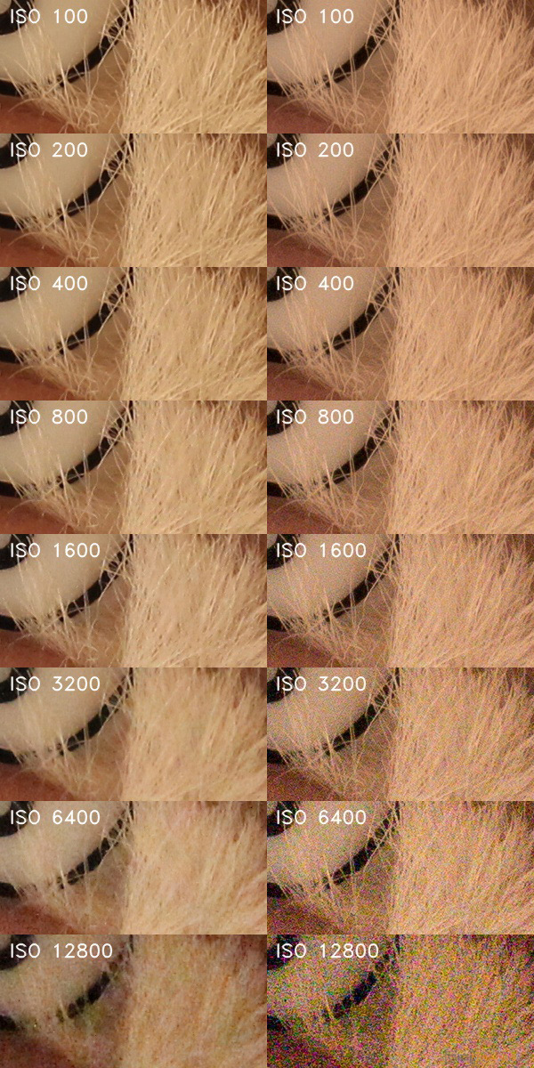 Canon EOS 1300D: starý známý