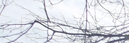 Panasonic Lumix G Vario 12-32mm f/3.5-5.6 ASPH. / MEGA O.I.S.