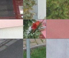 Canon EOS 550D: třídní premiant