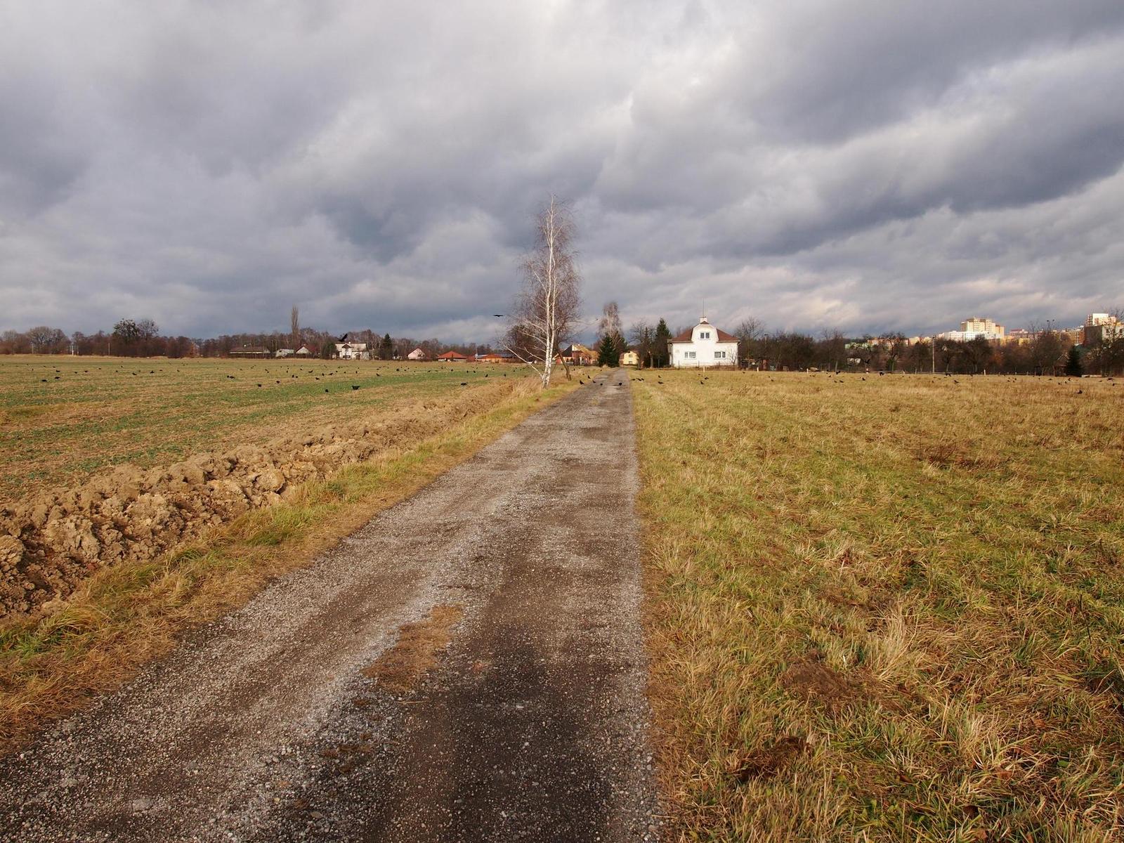 Olympus M.Zuiko Digital 14-42mm 1:3,5-5,6 II R