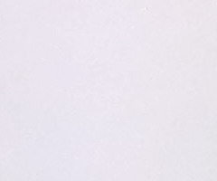 Nokia C7: pro fotící manažery