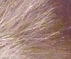 Panasonic Lumix TZ7: ultrazoom téměř bez chybičky